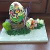 IMG-20240322-WA0469